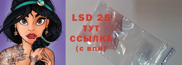 индика Козельск
