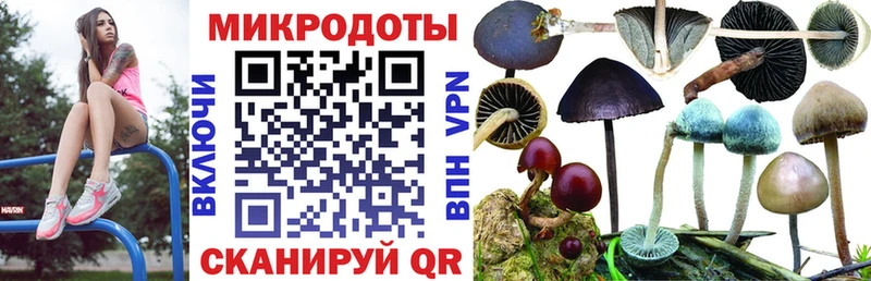 сайты даркнета состав  кракен как войти  Псилоцибиновые грибы Psilocybe  Кирс  что такое  